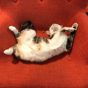 Meet your Posher, Marcia